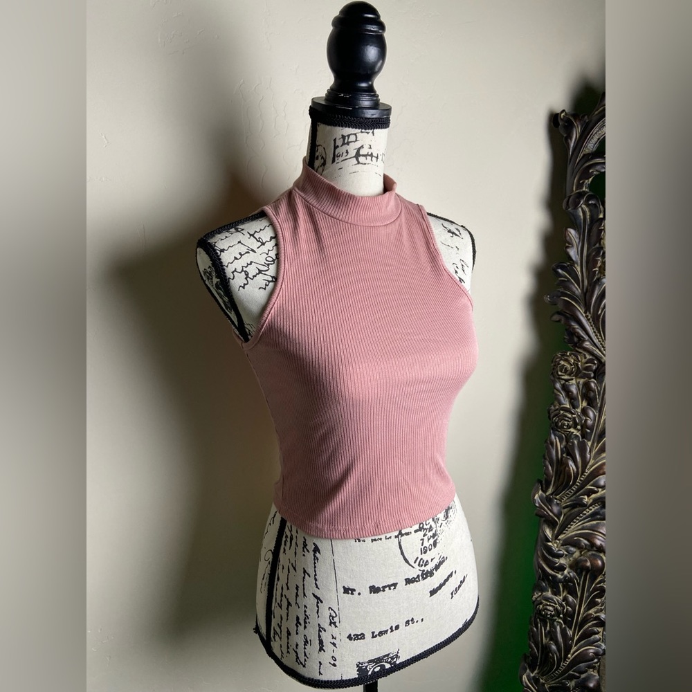Caution to the Wind Coral Pink Ribbed Turtleneck Crop Top Size Small